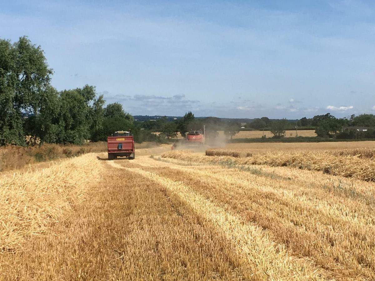 הוילה צ'יפנהאם The Manor Farm Alderton מראה חיצוני תמונה